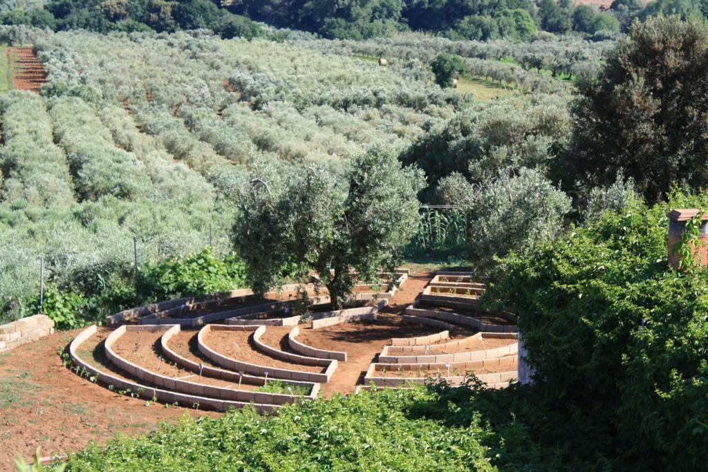סן וינצ'נזו Agriturismo Ss Annunziata מראה חיצוני תמונה