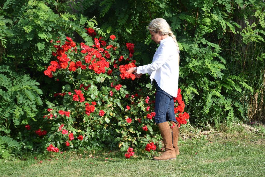 סן וינצ'נזו Agriturismo Ss Annunziata מראה חיצוני תמונה