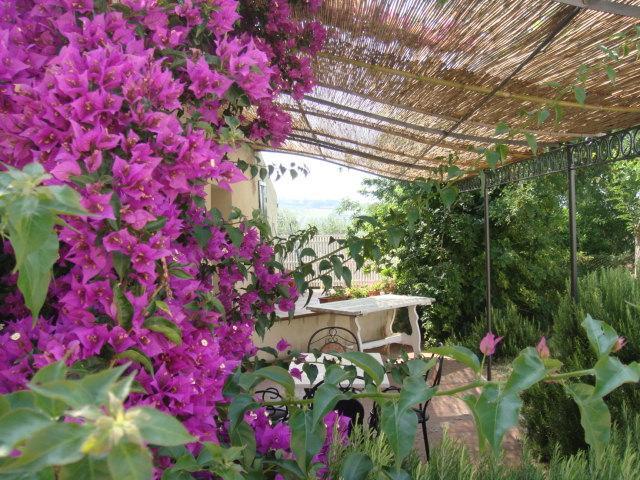 סן וינצ'נזו Agriturismo Ss Annunziata מראה חיצוני תמונה
