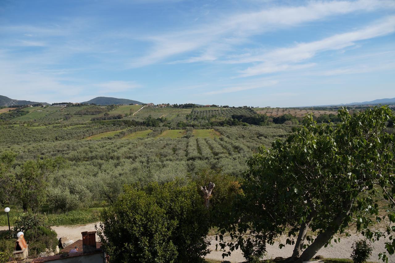 סן וינצ'נזו Agriturismo Ss Annunziata מראה חיצוני תמונה